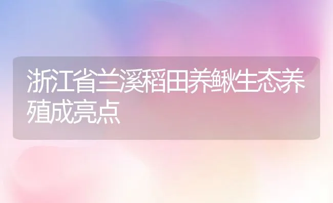 浙江省兰溪稻田养鳅生态养殖成亮点 | 动物养殖饲料