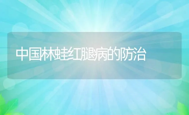 中国林蛙红腿病的防治 | 水产养殖知识