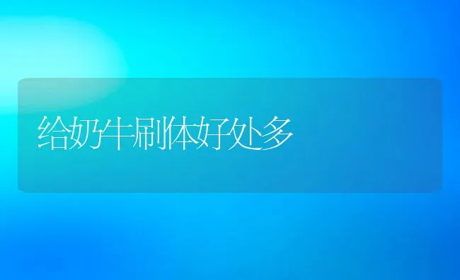 黄鳝性逆转及环境因子的影响 | 海水养殖技术