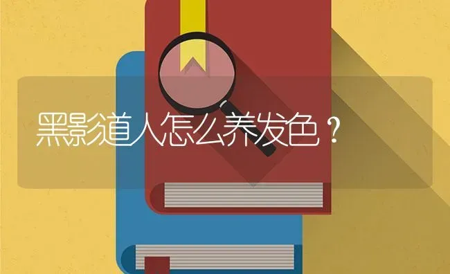 黑影道人怎么养发色？ | 鱼类宠物饲养