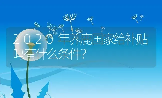 2020年养鹿国家给补贴吗有什么条件？ | 动物养殖百科