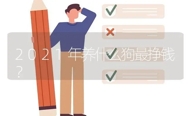 2021年养什么狗最挣钱？ | 动物养殖问答