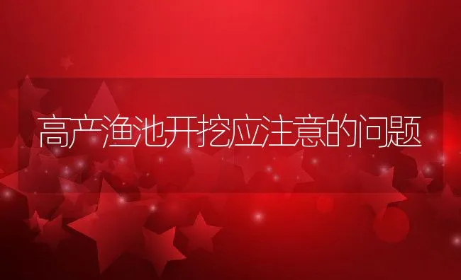 高产渔池开挖应注意的问题 | 动物养殖饲料