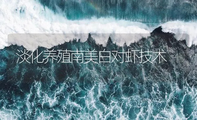 淡化养殖南美白对虾技术 | 海水养殖技术