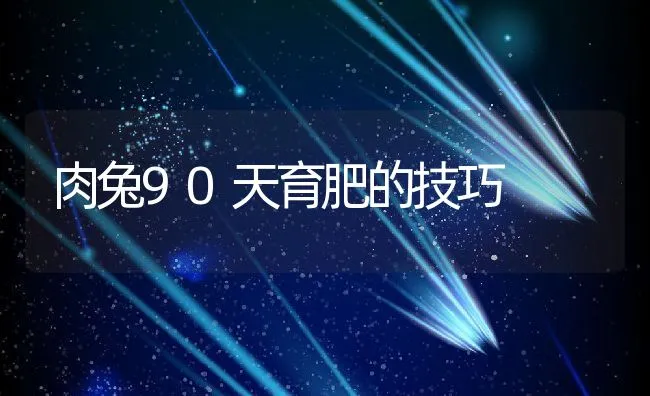 哺乳期仔猪死亡原因及控制策略 | 动物养殖学堂