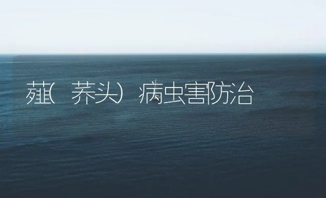 薤(荞头)病虫害防治 | 海水养殖技术