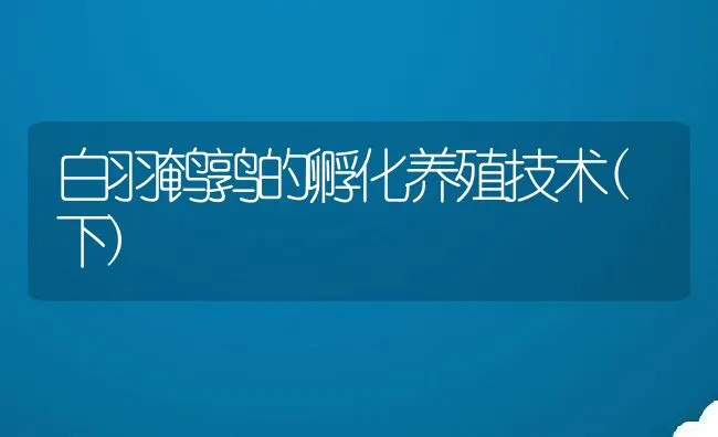 当前人工养蛇技术要点 | 水产养殖知识