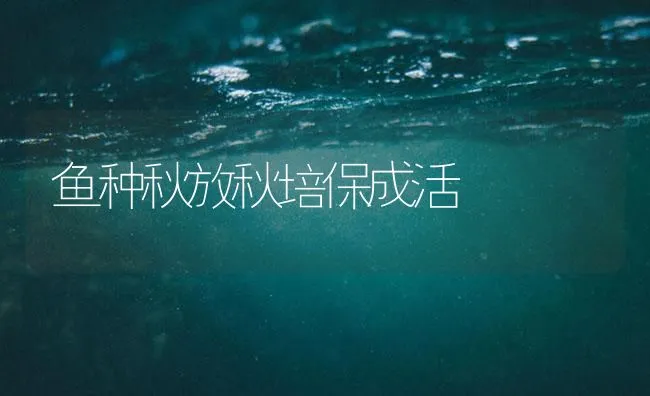 鱼种秋放秋培保成活 | 海水养殖技术