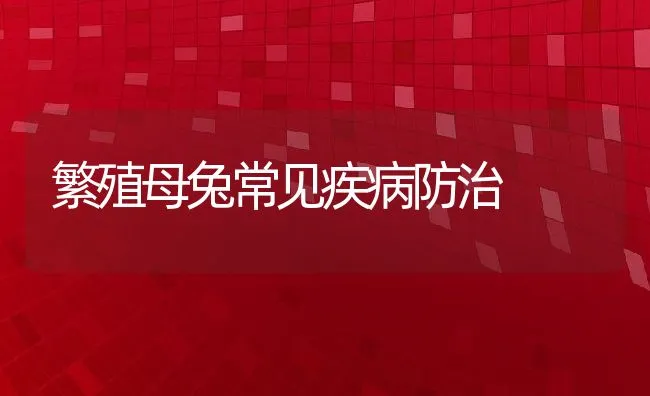 繁殖母兔常见疾病防治 | 动物养殖学堂