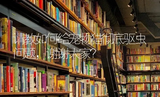 请教如何给宠物猫彻底驱虫问题，谢谢大家？ | 动物养殖问答