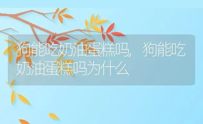 狗能吃奶油蛋糕吗,狗能吃奶油蛋糕吗为什么 | 宠物百科知识