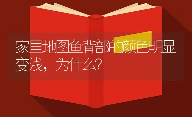 家里地图鱼背部的颜色明显变浅，为什么？ | 鱼类宠物饲养