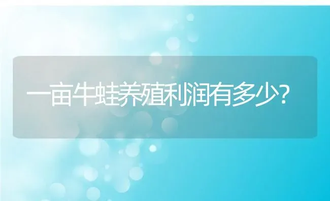 一亩牛蛙养殖利润有多少？ | 动物养殖百科