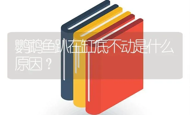 鹦鹉鱼趴在缸底不动是什么原因？ | 鱼类宠物饲养