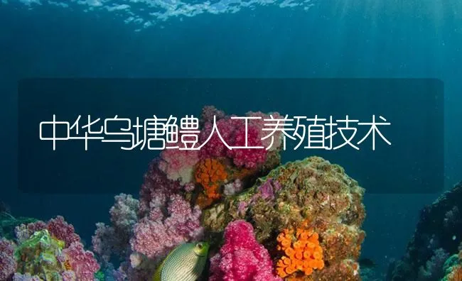 中华乌塘鳢人工养殖技术 | 海水养殖技术