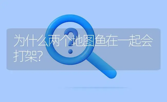 为什么两个地图鱼在一起会打架？ | 鱼类宠物饲养