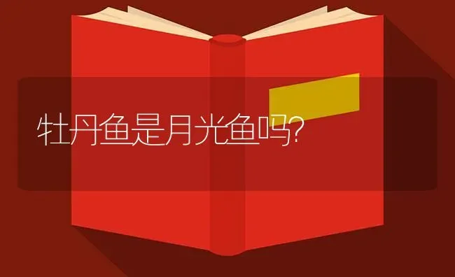 牡丹鱼是月光鱼吗？ | 鱼类宠物饲养