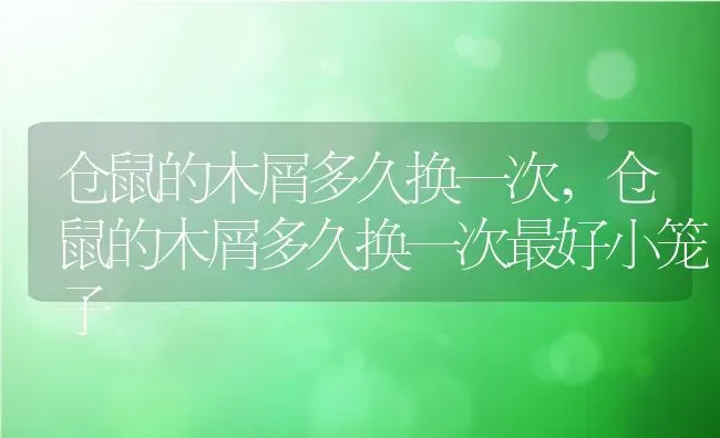 仓鼠的木屑多久换一次,仓鼠的木屑多久换一次最好小笼子 | 宠物百科知识