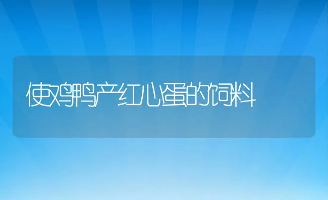 使鸡鸭产红心蛋的饲料 | 动物养殖学堂