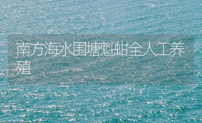 南方海水围塘魁蚶全人工养殖 | 海水养殖技术