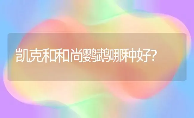 凯克和和尚鹦鹉哪种好？ | 动物养殖问答