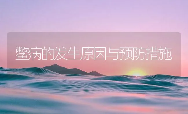 鳖病的发生原因与预防措施 | 海水养殖技术