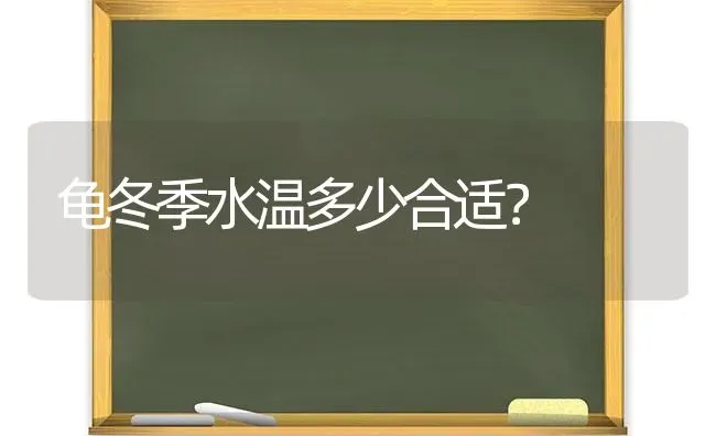 小猫凶不给抱怎么办？ | 动物养殖问答