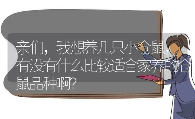 亲们，我想养几只小仓鼠，有没有什么比较适合家养的仓鼠品种啊？ | 动物养殖问答