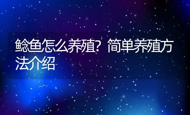 鲶鱼怎么养殖？简单养殖方法介绍 | 动物养殖百科