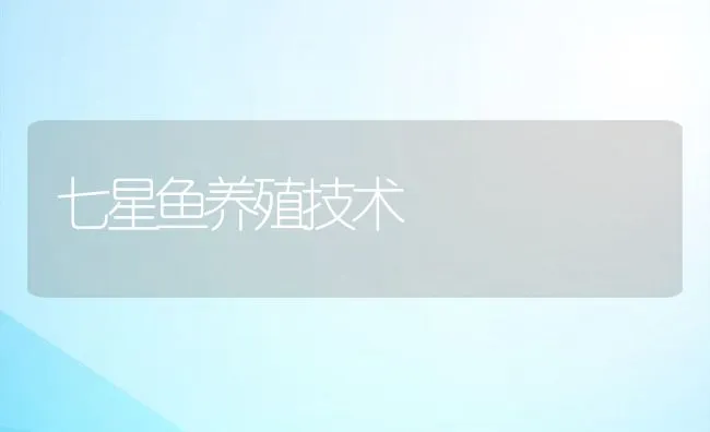 肉兔冬季育肥技术 | 动物养殖学堂