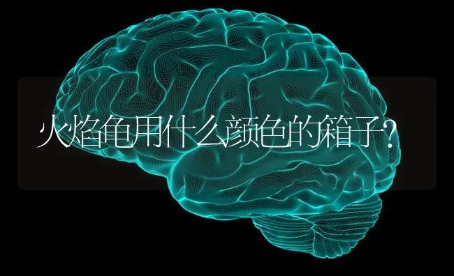 火焰龟用什么颜色的箱子？ | 动物养殖问答