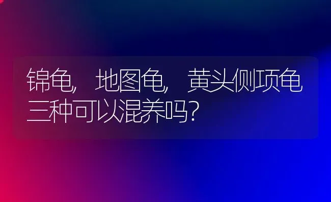 锦龟,地图龟,黄头侧项龟三种可以混养吗？ | 动物养殖问答