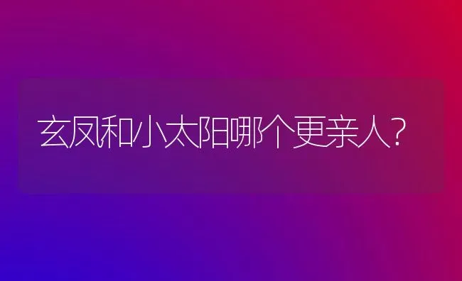 玄凤和小太阳哪个更亲人？ | 动物养殖问答