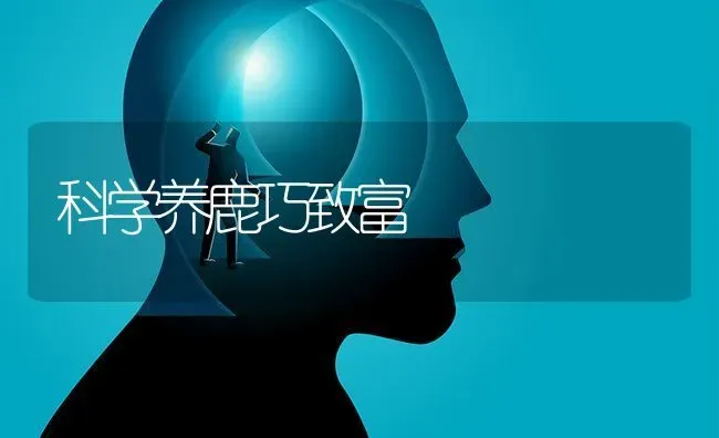 科学养鹿巧致富 | 动物养殖教程