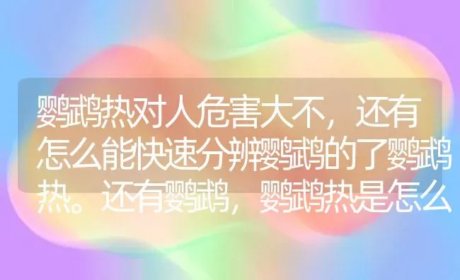 鹦鹉热对人危害大不，还有怎么能快速分辨鹦鹉的了鹦鹉热。还有鹦鹉，鹦鹉热是怎么得的？ | 动物养殖问答