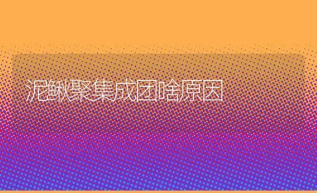 蝎斑霉病的防治 | 动物养殖学堂