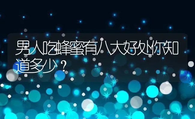 男人吃蜂蜜有八大好处你知道多少？ | 动物养殖百科