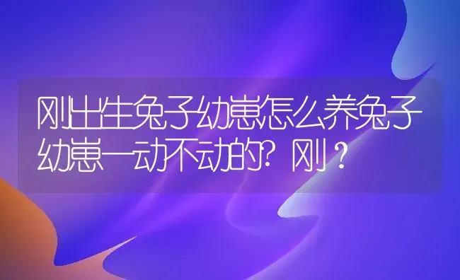 刚出生兔子幼崽怎么养兔子幼崽一动不动的?刚？ | 动物养殖问答