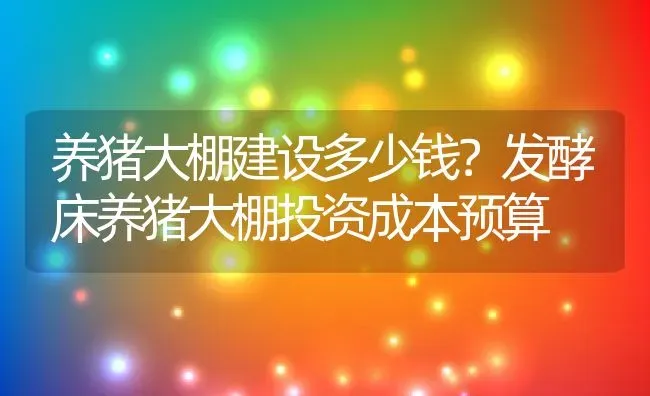 养猪大棚建设多少钱？发酵床养猪大棚投资成本预算 | 动物养殖百科