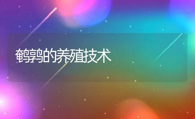 鹌鹑的养殖技术 | 动物养殖饲料