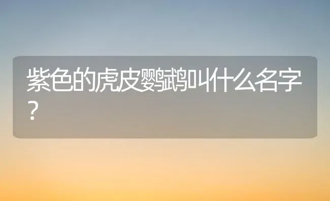 乌龟尾巴出现红色的东西，是什么？ | 动物养殖问答