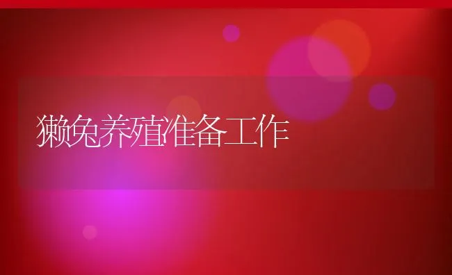 獭兔养殖准备工作 | 动物养殖饲料
