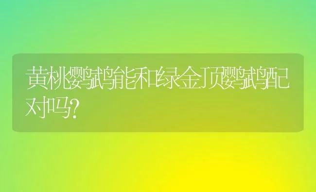 黄桃鹦鹉能和绿金顶鹦鹉配对吗？ | 动物养殖问答