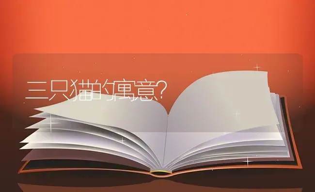 三只猫的寓意？ | 动物养殖问答