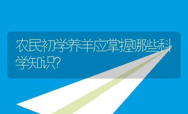 农民初学养羊应掌握哪些科学知识？ | 动物养殖百科