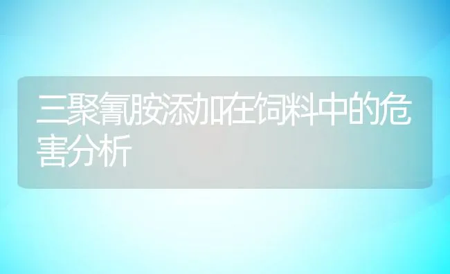 三聚氰胺添加在饲料中的危害分析 | 动物养殖饲料