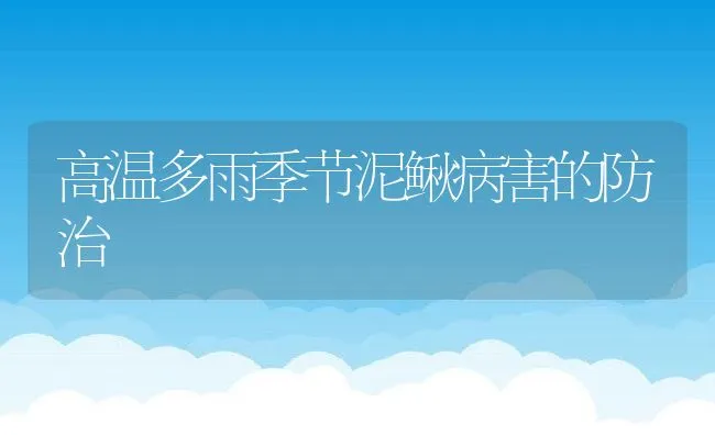 过冬之前应积极预防日本鳗鱼鳃肾炎 | 海水养殖技术