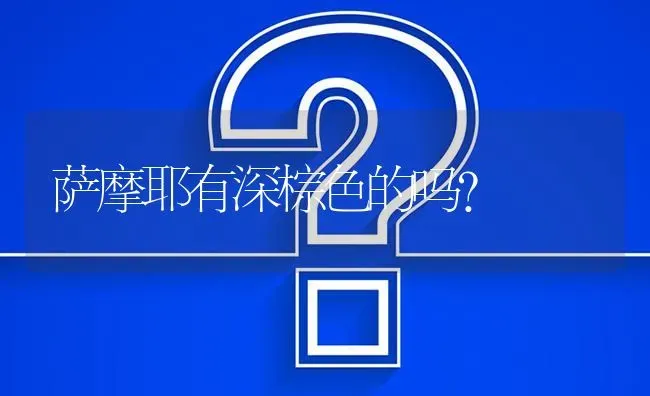 跟松狮犬相似的有哪些？ | 动物养殖问答