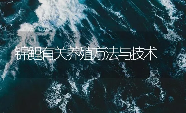 锦鲤有关养殖方法与技术 | 海水养殖技术