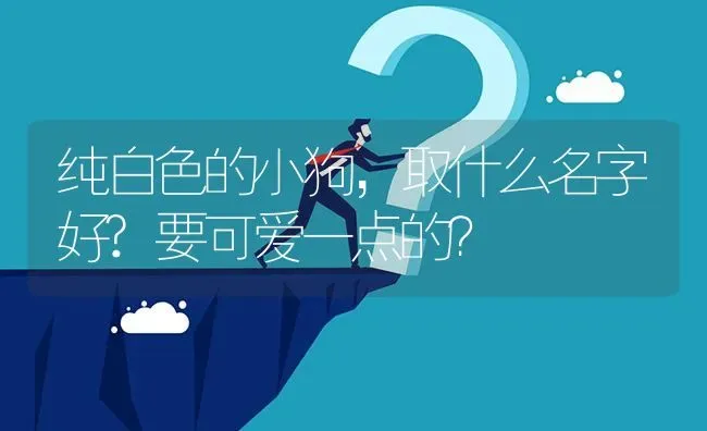 纯白色的小狗，取什么名字好?要可爱一点的？ | 动物养殖问答